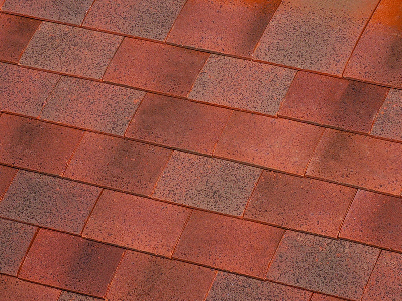 Segala_������ ������.jpg