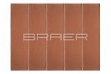 ������ ������� ������������ ������� ������� 1 �� BRAER