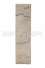������������ ������ BRAER PRO 72.03, 0,7 ��