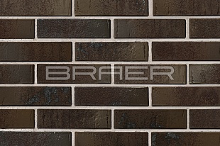 ������������ ������ BRAER PRO 78.09