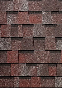 ������ �������������� �������� DRAGON Pemium �����