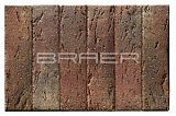 ������������ ������ BRAER PRO 55.08.1