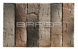 ������������ ������ BRAER PRO 14.04.1