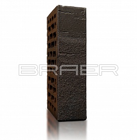 ������������ ������ BRAER PRO 78.09