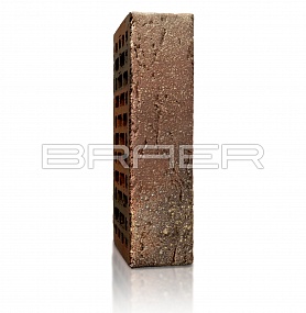 ������������ ������ BRAER PRO 55.08.1