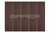 ������ ������������ ������� ���������� 0,7 �� BRAER