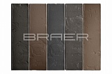 ������ ������� "��������� ������" Limited ����� 1�� BRAER