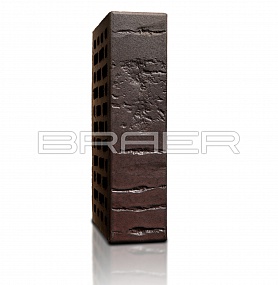 ������������ ������ BRAER PRO 28.09