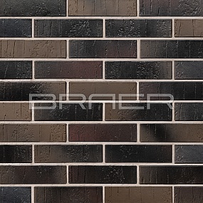 ������������ ������ BRAER PRO 28.09