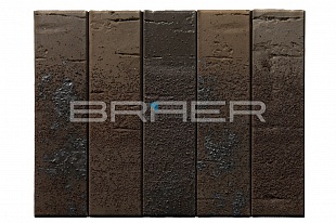������������ ������ BRAER PRO 78.09