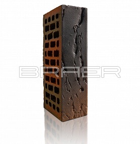 ������������ ������ BRAER PRO 5.06