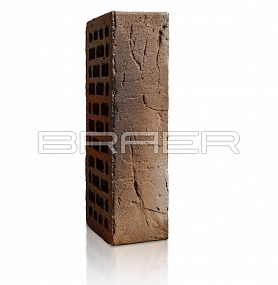 ������������ ������ BRAER PRO 14.04.1