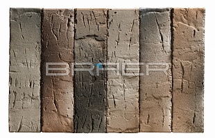 ������������ ������ BRAER PRO 14.04.1